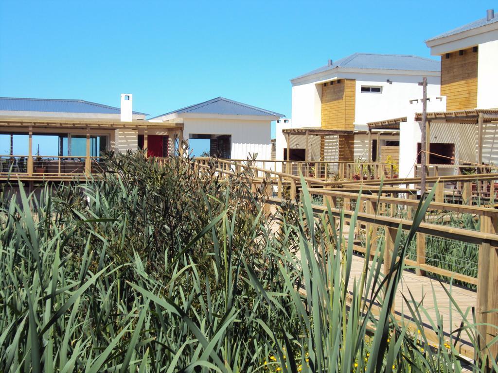 Las Eduardas La Paloma Exterior photo